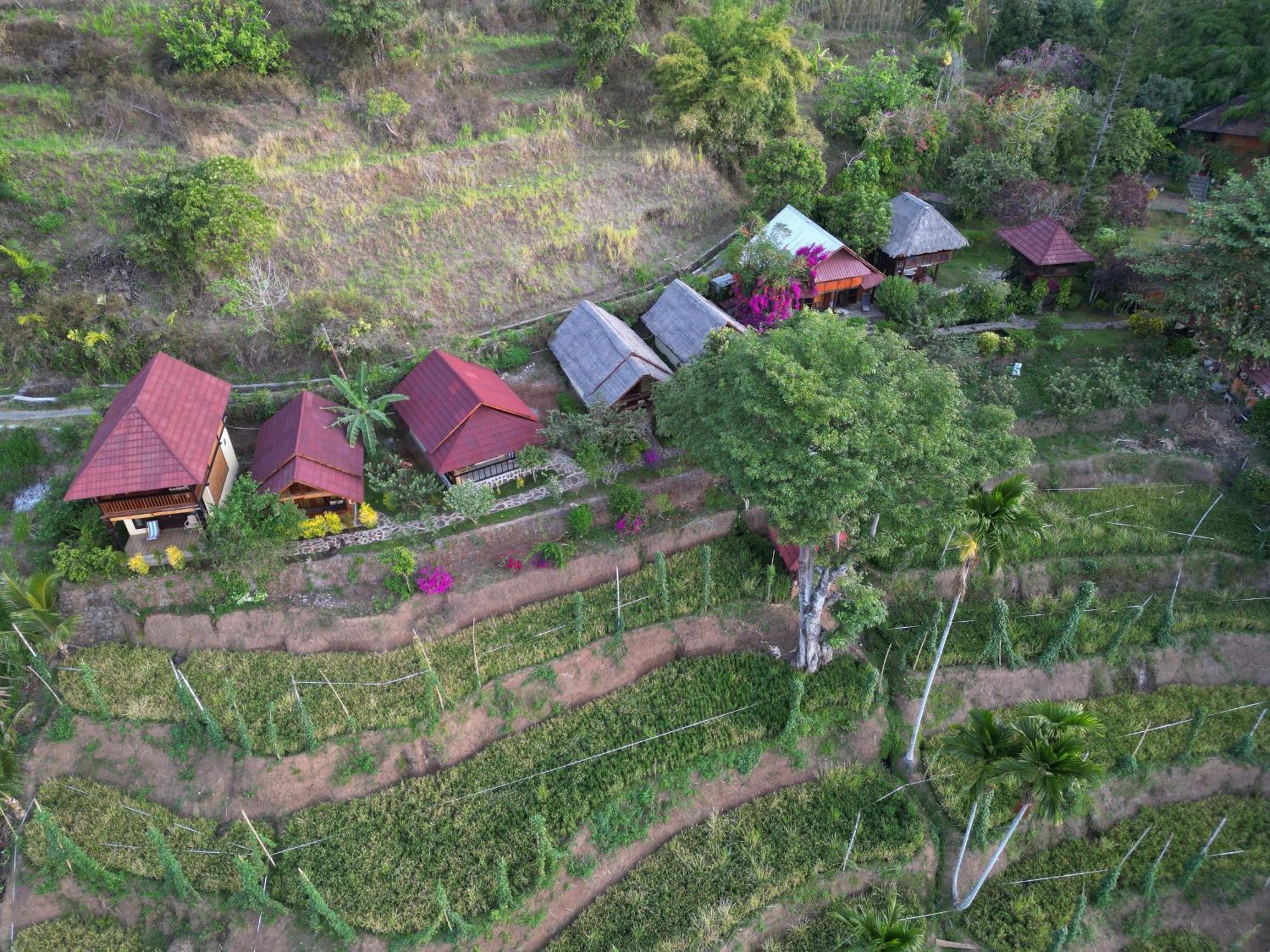 Rinjani Mountain Garden Resort Bayan