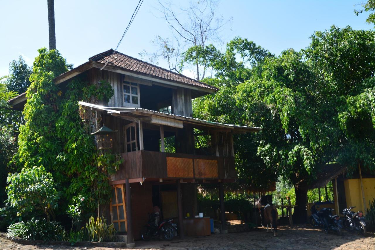 Rinjani Mountain Garden