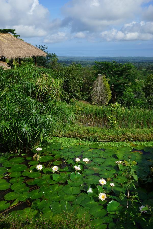 Rinjani Mountain Garden Resort Bayan