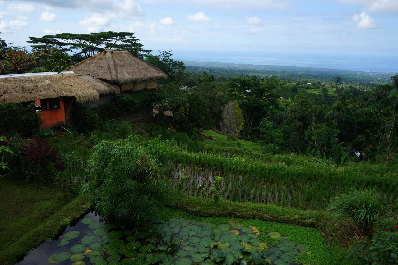 Resort Rinjani Mountain Garden Bayan