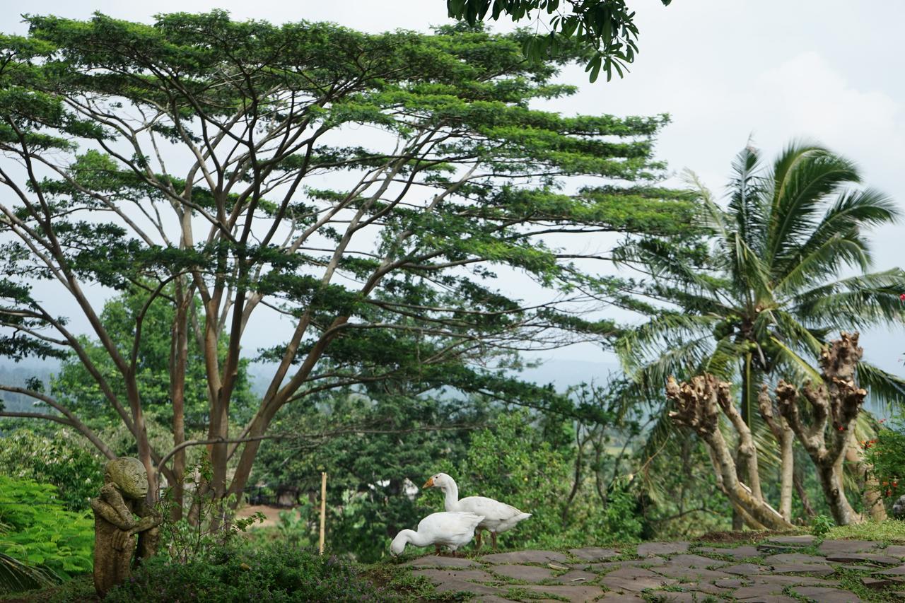 Resort Rinjani Mountain Garden Bayan