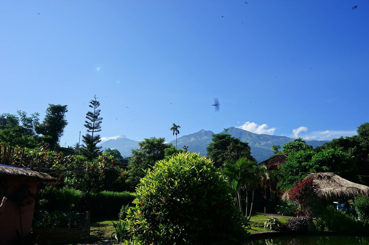 Rinjani Mountain Garden Bayan